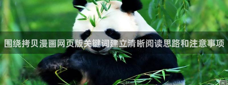 漫画在线阅读网站